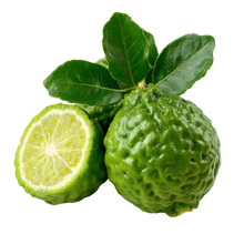 Bergamot