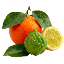 Bergamot & Citrus