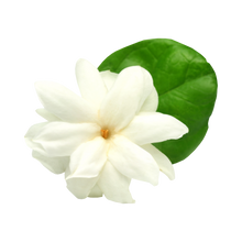Jasmine
