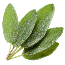 Clary Sage