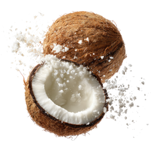 Coconut