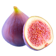 Fig