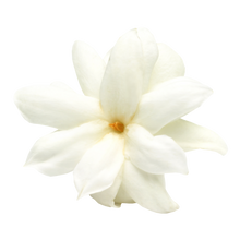 Jasmine