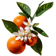 Mandarin 