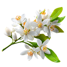 Neroli