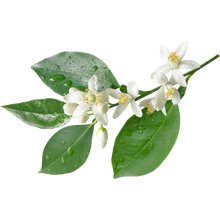 Neroli