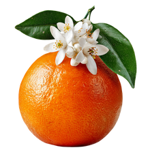 Orange Blossom