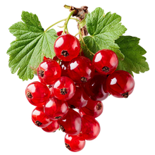 Currant