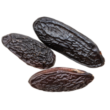 Tonka Bean