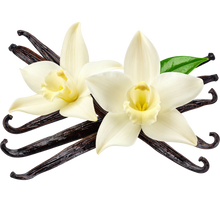Vanilla