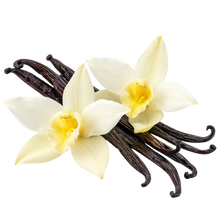 Vanilla