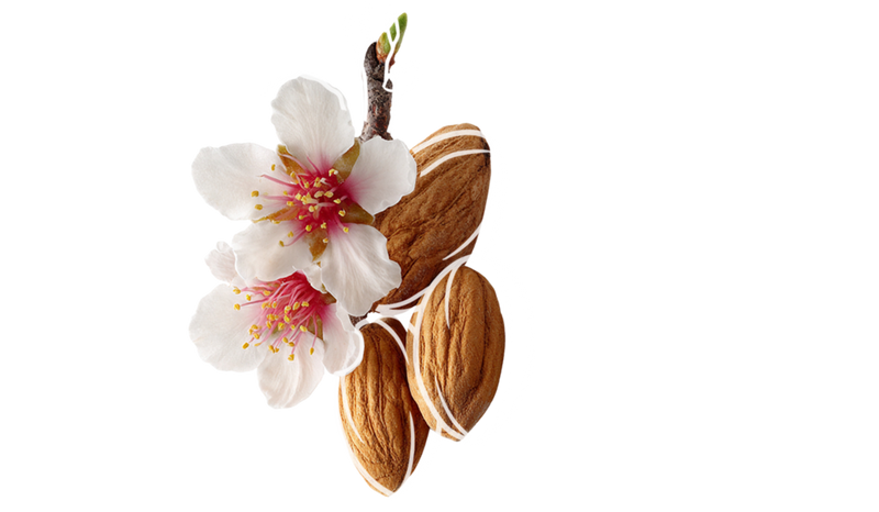 Almonds fragrance note