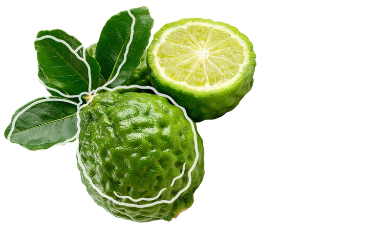 Bergamot fragrance note