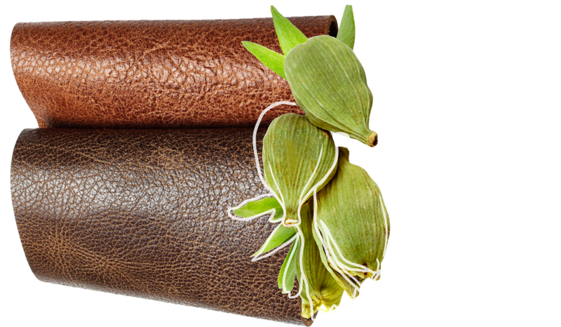 Leather fragrance note