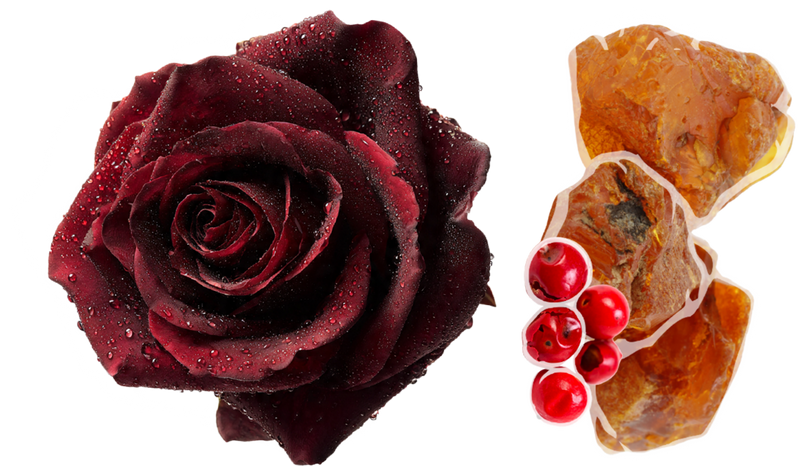 Rose and amber fragrance notes